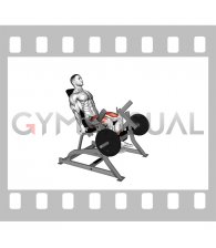 Lever Leg Extension (Plate Loaded)