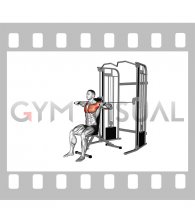 Cable Seated Chest Press
