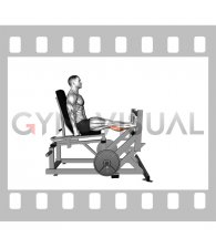 Lever Calf Press (Plate Loaded)