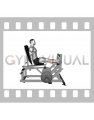 Lever Calf Press (Plate Loaded)