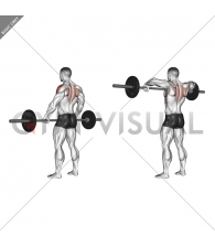 Barbell Wide-grip Upright Row