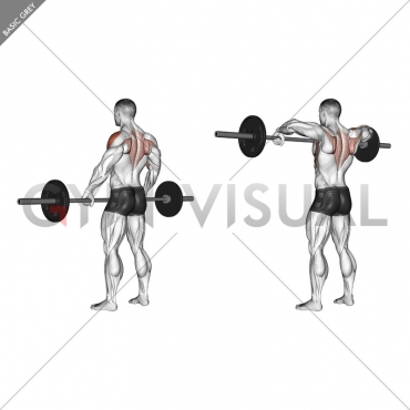 Barbell Wide-grip Upright Row