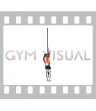 Rope Climb