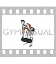 Weighted Sandbag Row (male)