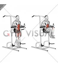 Captains Chair Leg Raise