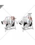 Lever Overhead Triceps Extension (male)