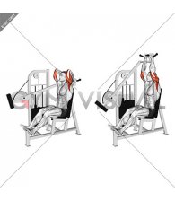 Lever Overhead Triceps Extension (male)