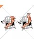 Lever Overhead Triceps Extension (male)
