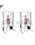 Cable Horizontal Pallof Press (female)
