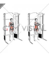 Cable Horizontal Pallof Press (female)