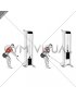 Cable Single Arm Low Row with Rope Attachment