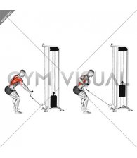 Cable Single Arm Low Row with Rope Attachment