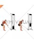 Cable Single Arm Low Row with Rope Attachment