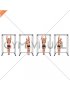Alternating Dead Hang (male)