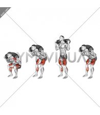 Weighted Sandbag Deadlift (male)