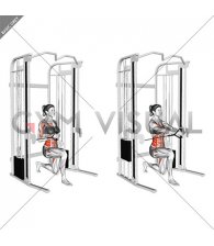 Cable Half Kneeling Pallof Press (female)