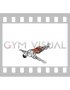 Lying Side Straight Legs Reverse Crunch (male)