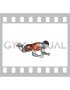Kneeling Plank Alternating Arm Raise