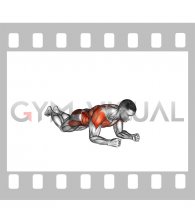 Kneeling Plank Alternating Arm Raise