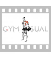 Dumbbell Lateral Raise from Back (male)