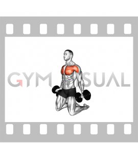 Dumbbell Kneeling Low Fly (male)