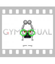 Chest Fly - Shoulders (WRONG RIGHT)