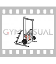 Smith Deadlift