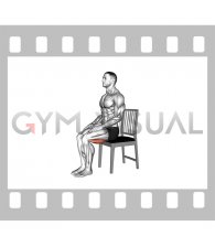 Seated Hamstring Stretch on a Chair (male)