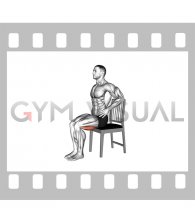 Seated Hamstring Stretch on a Chair (VERSION 2) (male)