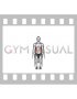 Seated Lats Stretch on a Chair (male)
