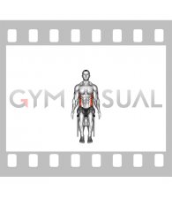 Seated Lats Stretch on a Chair (male)