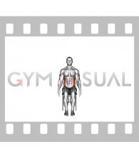Seated Side Bend Stretch on a Chair (male)