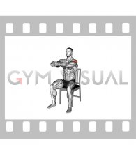 Seated Reverse Fly on Chair (male)
