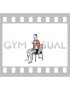 Seated Curl to Shoulders Press on Chair (male)