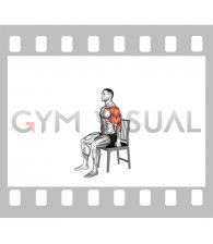 Seated Curl to Shoulders Press on Chair (male)