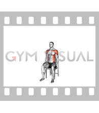 Seated Side Bend with Arm-up on Chair (male)