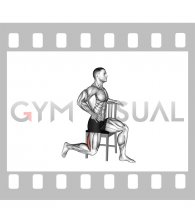 Seated Single Leg Curl on Chair (male)