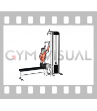 Cable Reverse Narrow grip Lat Pulldown (male)