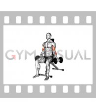 Dumbbell Seated Inner Biceps Curl