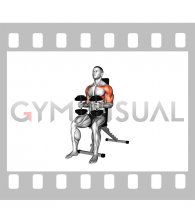 Dumbbell Seated Bent Arm Lateral Raise to Triceps Extension to Biceps Curl