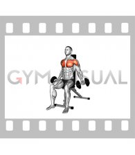 Dumbbell Seated Hyght Fly