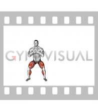 Shuffle Step with Squat and Jump (male)