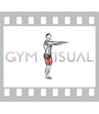 Single Leg Squat (pistol)