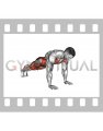 Spider to Cross Body Plank (male)