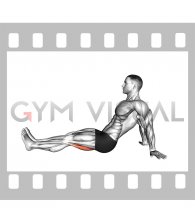 Seated Single Leg Knee Flexion (male)