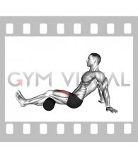 Seated Single Leg Knee Extension (male)