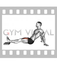 Seated Single Leg Knee Extension (VERSION 2) (male)