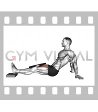 Weighted Seated Single Leg Knee Extension (VERSION 2) (male)