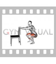 Squat Mobilization (male)