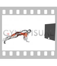 Plank Alternating Hit the Ball (male)